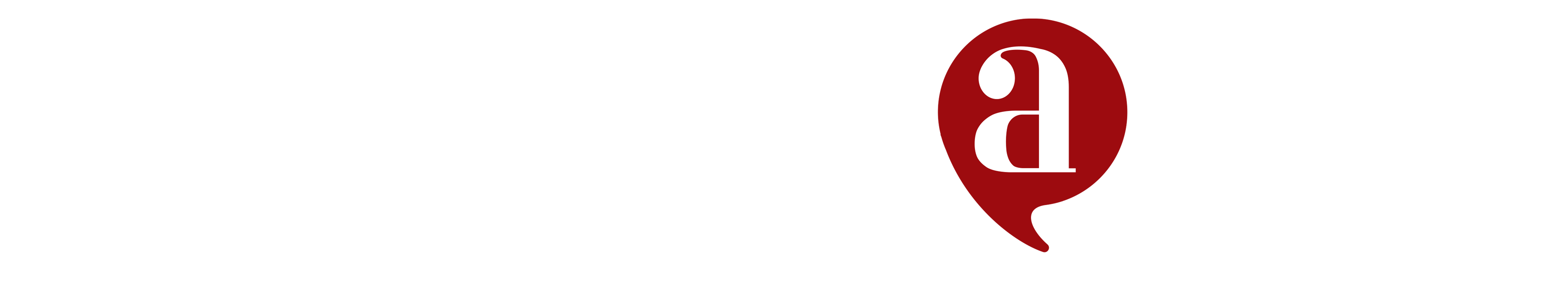 Logo 1